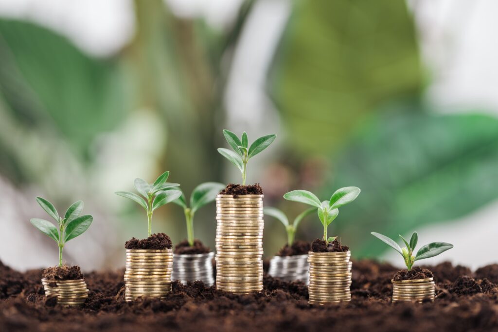 arranged coins with green leaves and soil, financial growth concept
